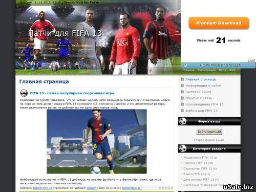 FIFA13